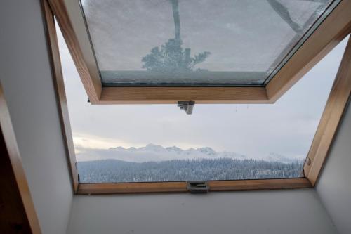 Zowiyrucha Zowiyrucha