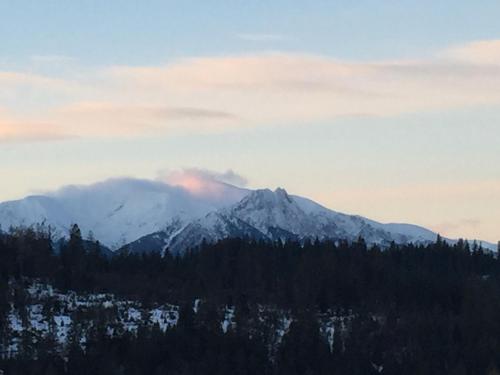 Zowiyrucha Zowiyrucha