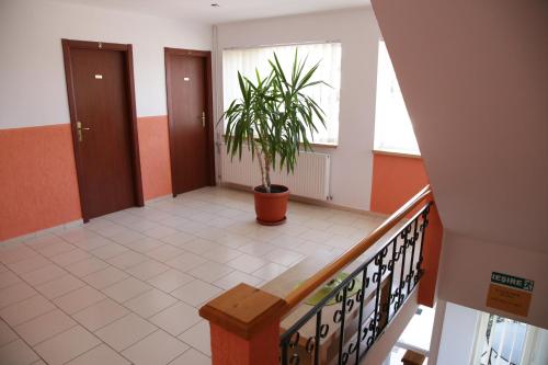 City Comfort Villa - image 5