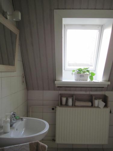 Marigold, Neumünster (fotografie 10)