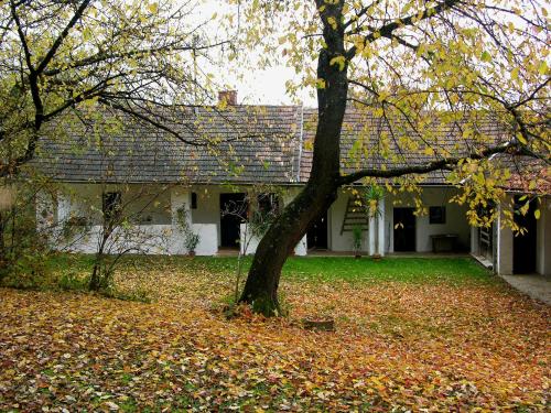 Haus Eveline - image 5