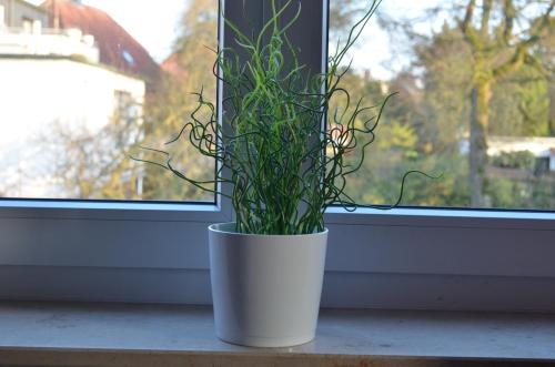 Instalaciones, Hotel Alter Giebel in Bottrop