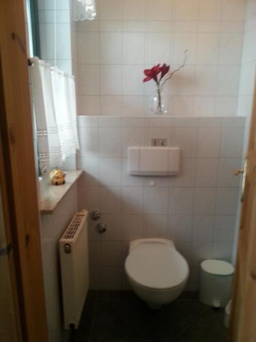 Heiterer Blick - image 4