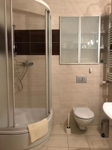 Renovated apartment in Opole