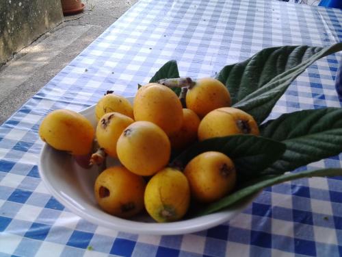  Apartman Nadija in Kraj