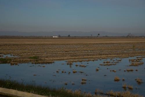 Mas Illa de Riu - Auténtica Masía del Delta del Ebro con capacidad para 20 personas - Deltavacaciones