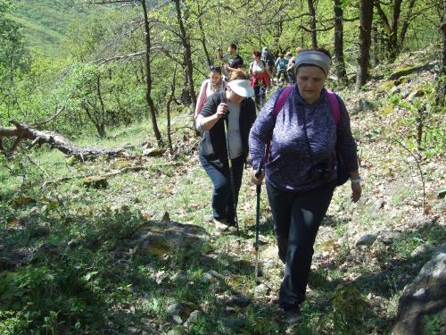  Hollókői Vendégház, Pension in Abaújszántó bei Tállya