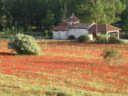 Casa rural La Sabina in Fortanete