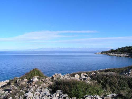 Vlasta, Mali Lošinj (photo 3)