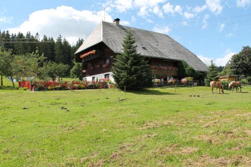 施瓦扎瓦尔德霍夫度假屋 施瓦扎瓦尔德霍夫度假屋