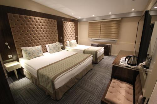 Ankara Gold Hotel - image 14
