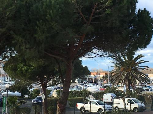 Au Coeur du Village Naturiste - image 4