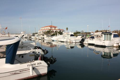 OLIVA HOLIDAYS 1