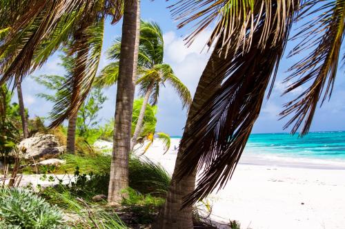 . Coral Beachside