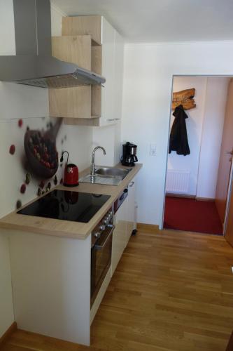 Kitchen, Apartment Steinkellner in Tropolach
