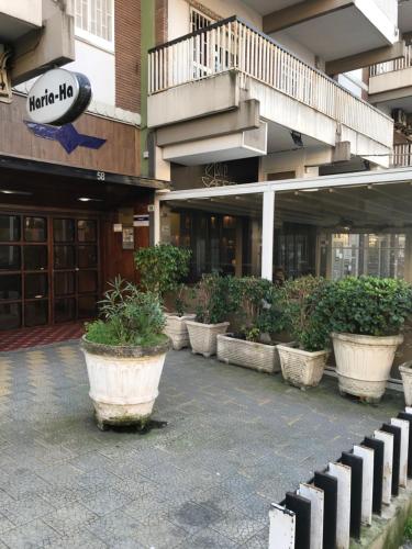 Alex's Home – Portici, CO