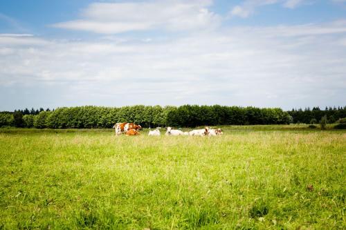 Domein Groot Besselink