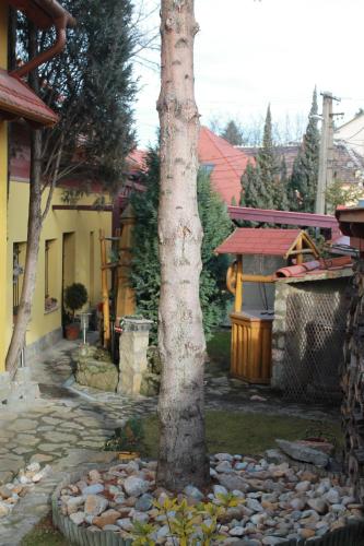  Hill Studio Tata in Tata