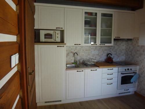 virtuve, Apartmán Na Zlatníku (Apartman Na Zlatniku) in Zlata Olesnice