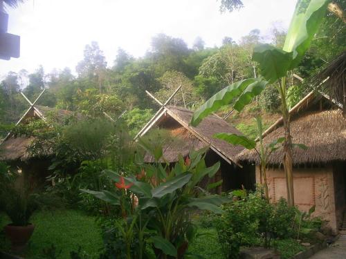 Hill Tribe Art House...Lahu & Akha Homestay in Mae Yao