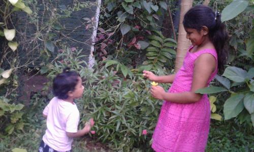 Cassandra Reach In Sri Lanka - 