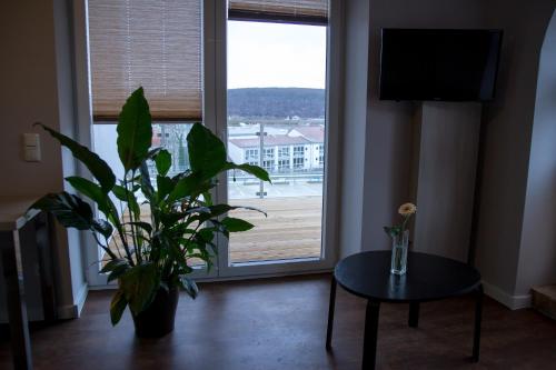 1880 Lofthaus - image 13