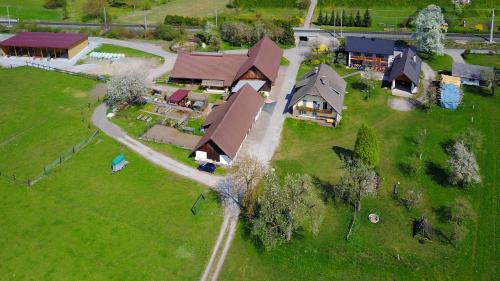 Ferienhof Ressmann-Tratnik in 9581 Ledenitzen