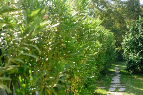 Skiathos Holidays - image 8