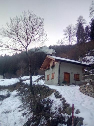 Chalet Immerso nel Verde in Strembo
