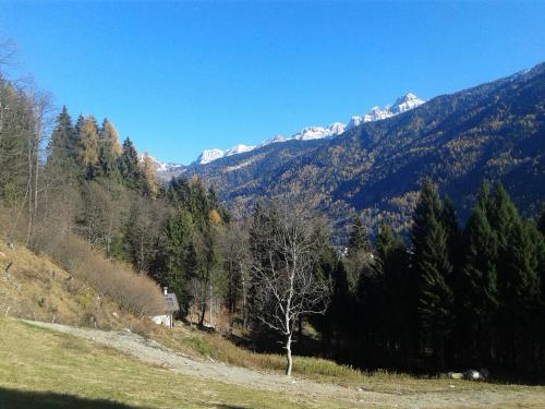 Chalet Immerso nel Verde in Strembo