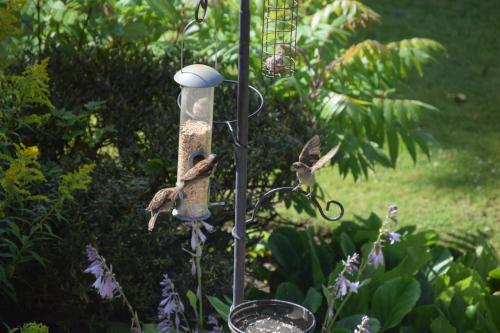 Willows Bed & Breakfast - main image