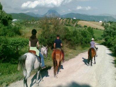 Holidayhome Villamartin Lomas del Golf