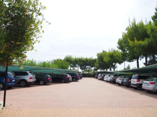 Oasiclub Hotel - image 6