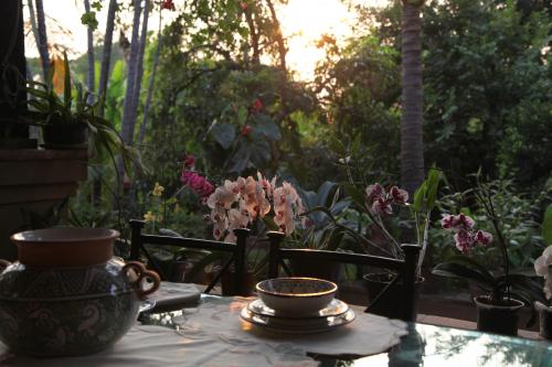 Orchidelirium Casa Hotel & Salud Estetica