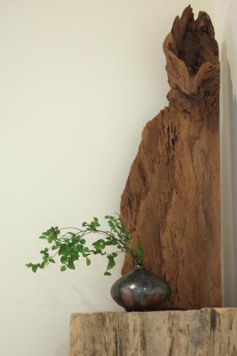 三匠獨棟庭園別墅 1歡唱烤肉打牌 -僅包棟 2聰明包棟-依人數提供床位及房間數 3寵物友善 4近夜市, Jian (Foto 10)