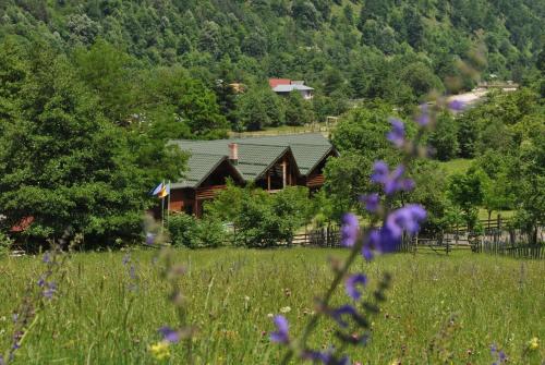 Pension Terra Nova - image 10