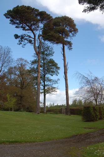 Ballydugan Country House