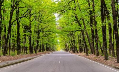 外部景觀, Prometheus Apartment in 茨卡爾圖博