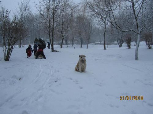 Hotel Síkfőkút - main image