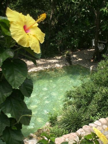 

Hotel Villa Clarita