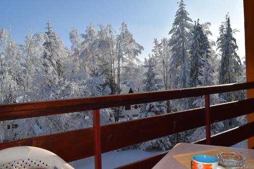Vila Aris Zlatibor - image 2