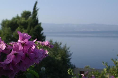Apartments by the sea Omis - 2823 - image 3
