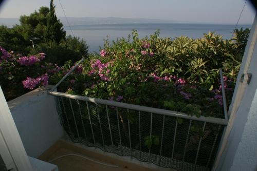 Apartments by the sea Omis - 2823 - image 8