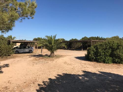 Talaya Formentera - image 12