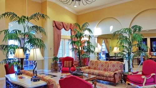 Tropical Dreams - image 3