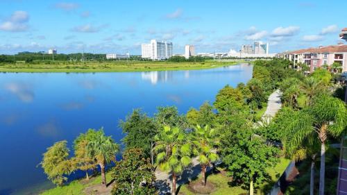 Tropical Dreams - image 5
