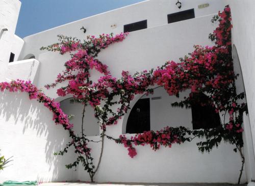 Vista exterior, San Antonio Summer House in Paros Island