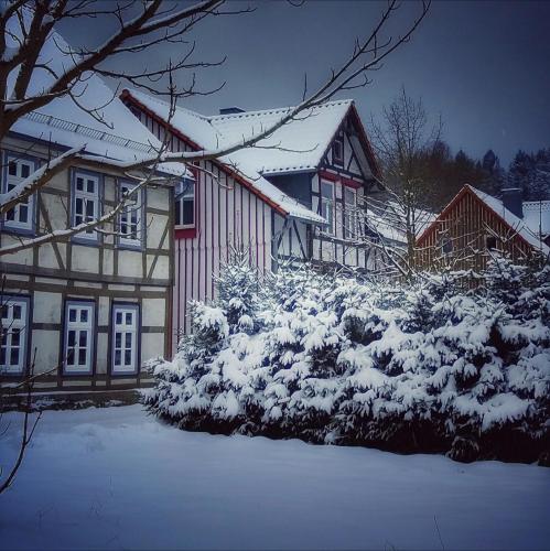 Harzhaus Schneewittchen - main image