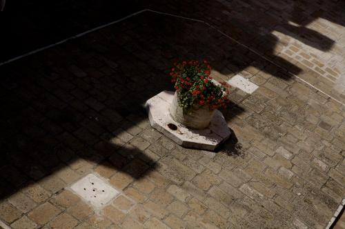 Hotel Al Codega - image 8