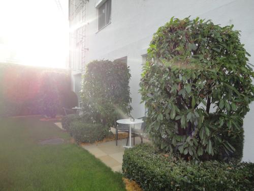 City Hotel Albrecht - image 5